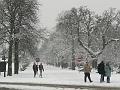 Snow, Greenwich Park P1070172